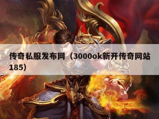 传奇私服发布网（3000ok新开传奇网站185）