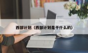 西部计划（西部计划是干什么的）