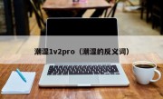 潮湿1v2pro（潮湿的反义词）