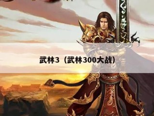 武林3（武林300大战）