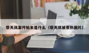 蔡天凤案件始末是什么（蔡天凤被煮熟图片）