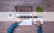 sm游戏的简单介绍