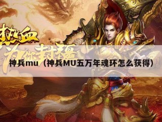 神兵mu（神兵MU五万年魂环怎么获得）