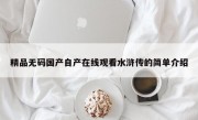 精品无码国产自产在线观看水浒传的简单介绍