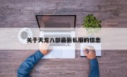 关于天龙八部最新私服的信息